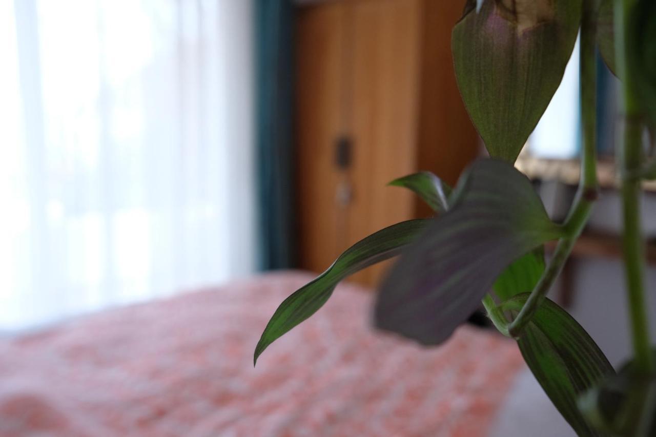 Ceneviz Hotel อาดราซาน ภายนอก รูปภาพ