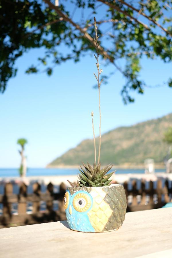 Ceneviz Hotel อาดราซาน ภายนอก รูปภาพ