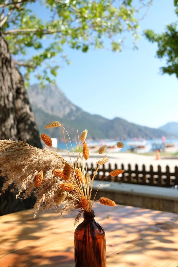 Ceneviz Hotel อาดราซาน ภายนอก รูปภาพ